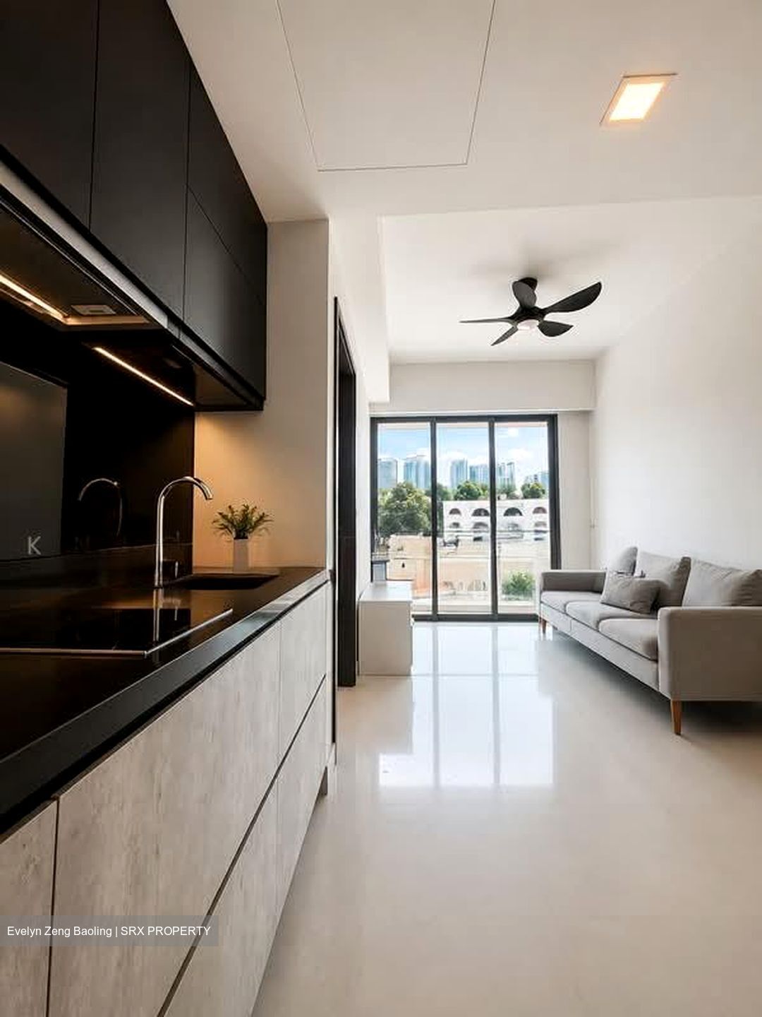 The Rise @ Oxley (D9), Condominium #599672611